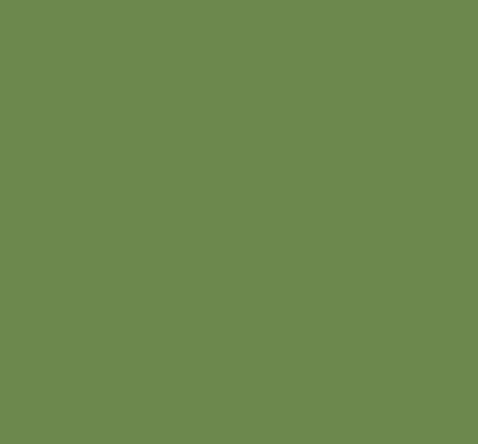 V-1094 Verde Pistache